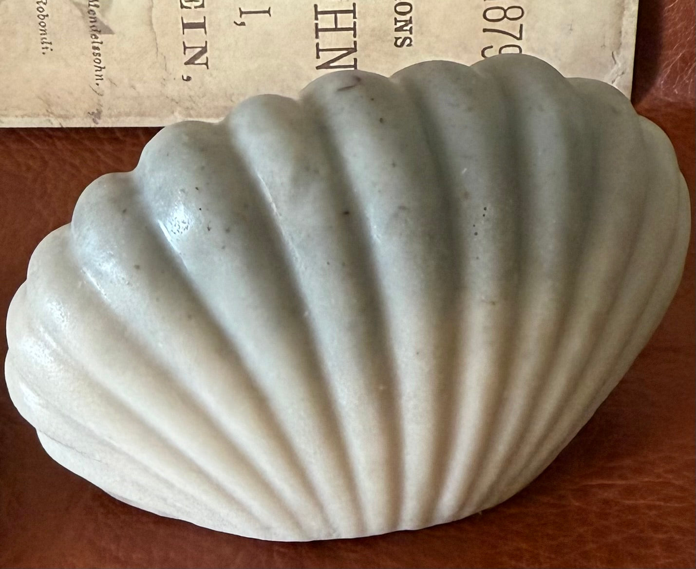 Concha de arcilla blanca y carbón activado.