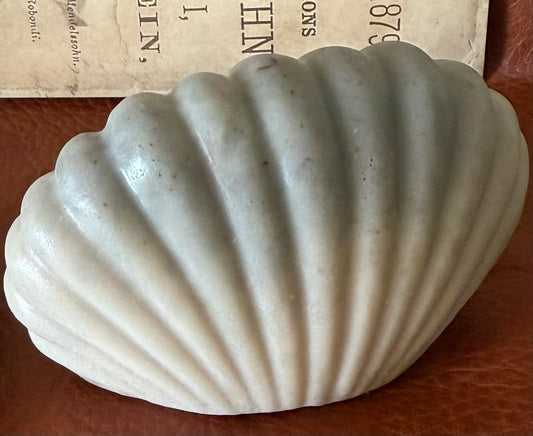 Concha de arcilla blanca y carbón activado.